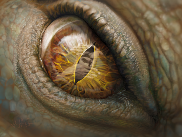 Dragon Eye