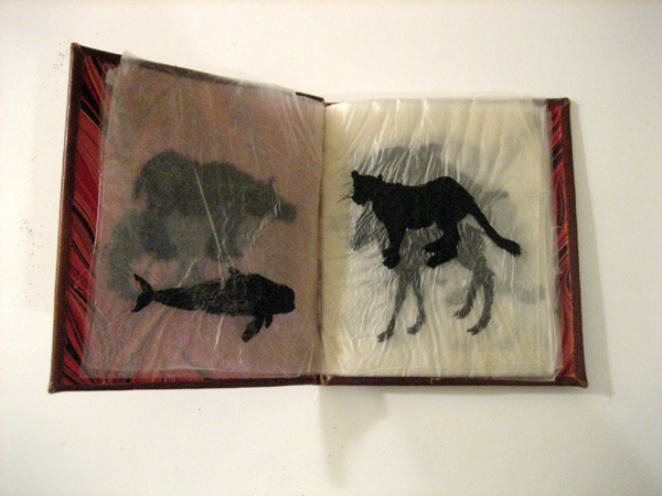 Fleshbook: india ink on goldbeaters skin; hand bound in leather and end papers resembling muscle