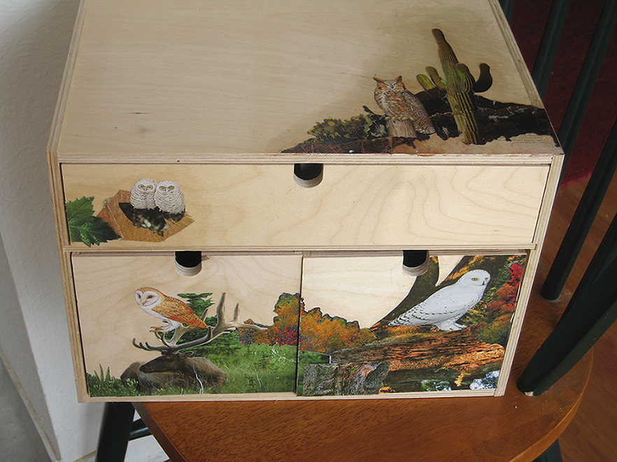 owl drawers 6