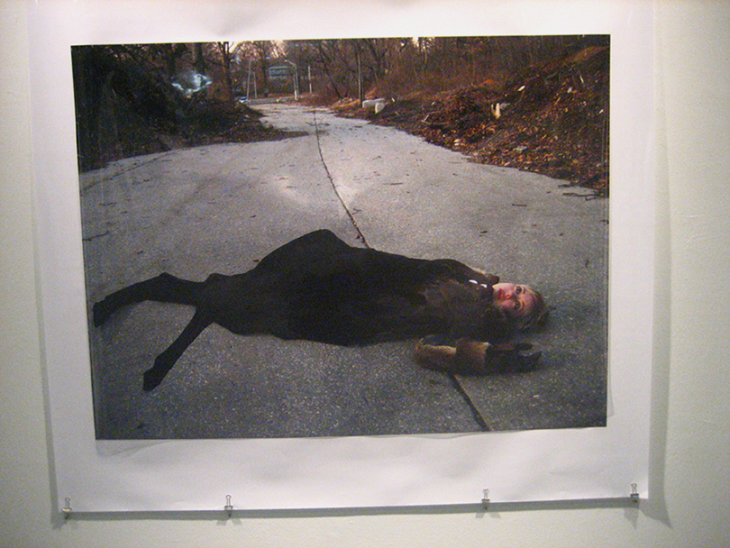 roadkill 7