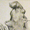 Elephant Seal Woman